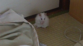 DSC_0003.JPG