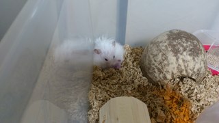 DSC_0031.JPG